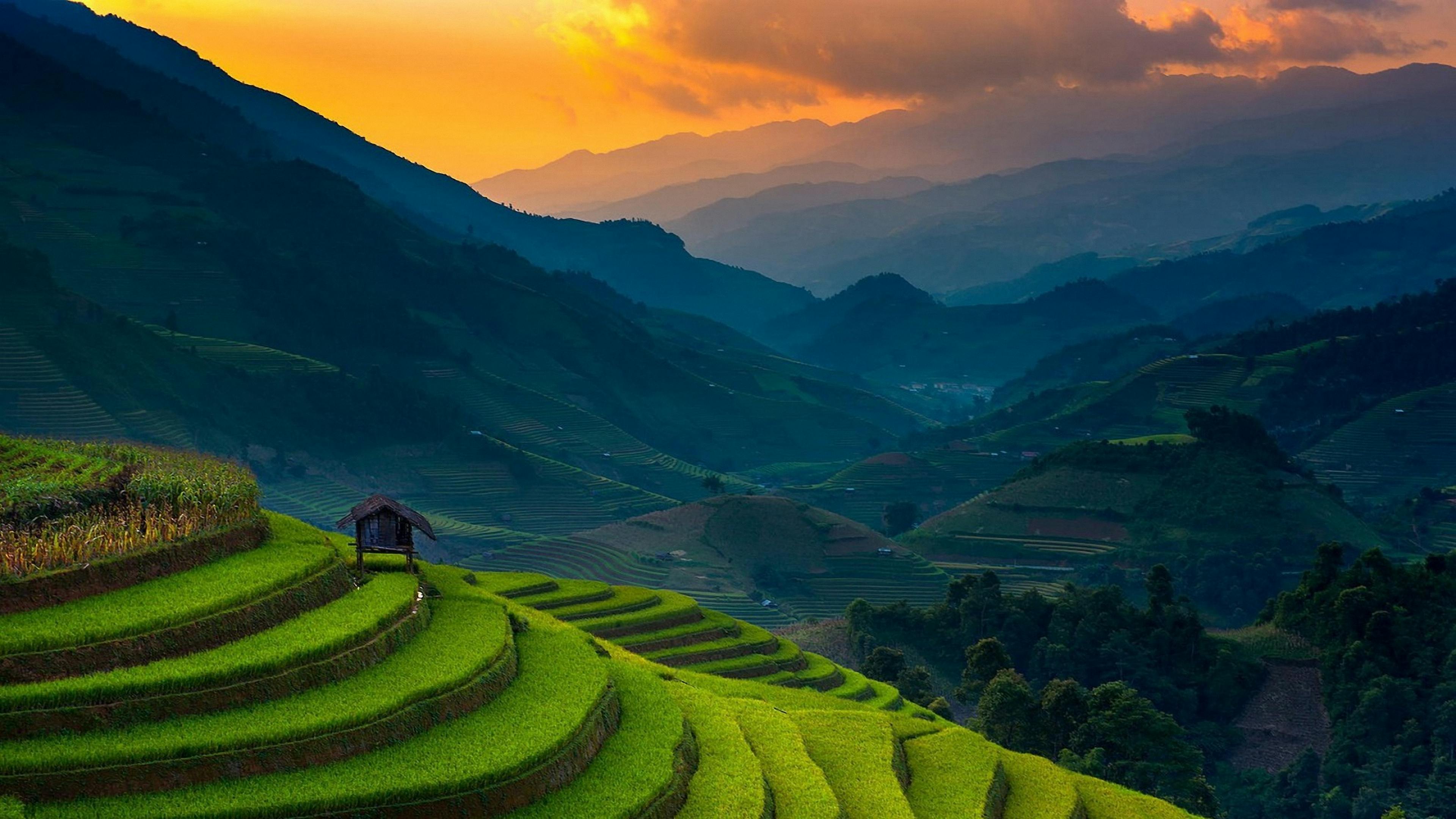 Banaue Rice Terraces 2