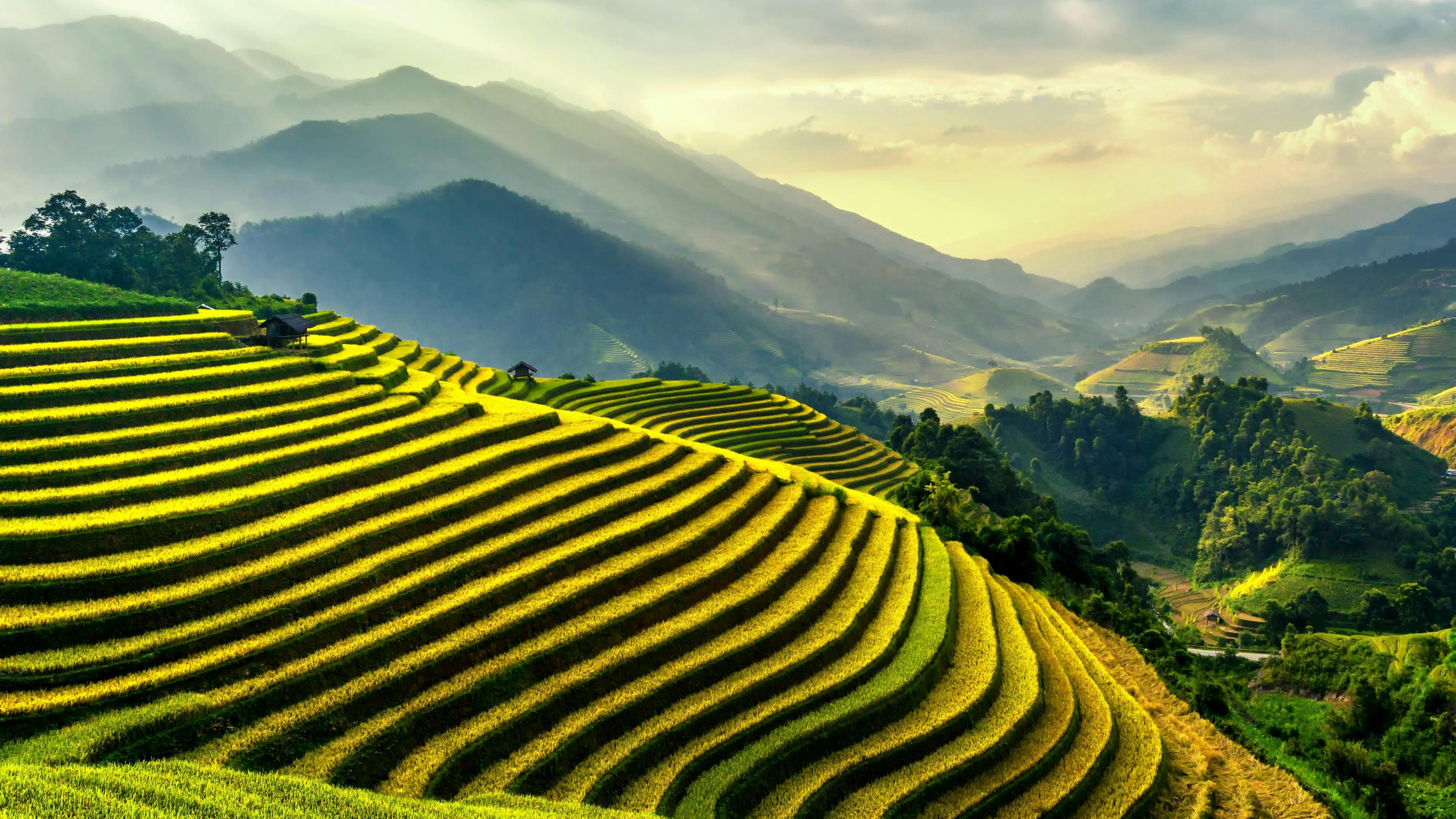 Banaue Rice Terraces